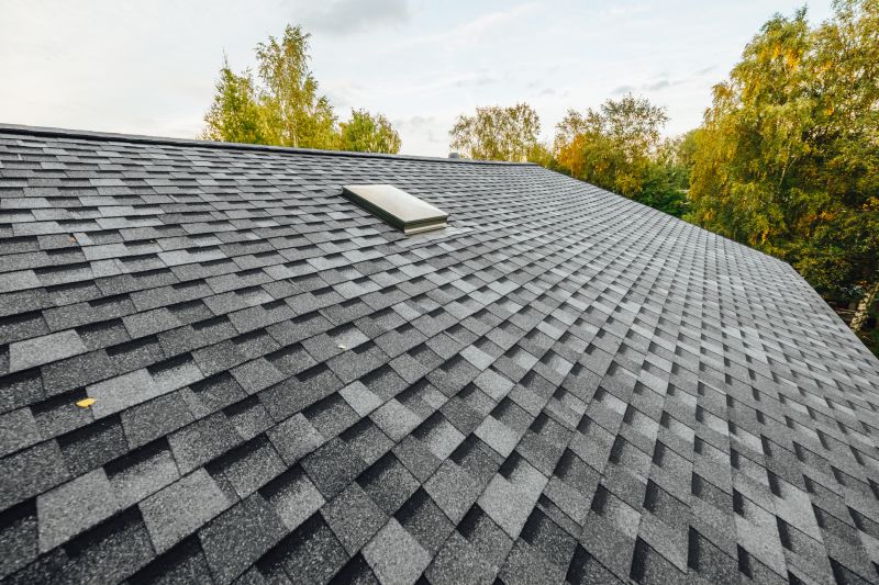 How Asphalt Shingle Roof Installation Improves Home Protection